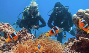 Obóz Zimowy Egipt Kair & Sharm el Sheikh - Piramidy + wypoczynek Wylot z Krakowa 2026