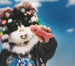 Obóz Zimowy Furry 2026 Murzasichle