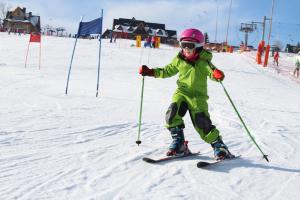 Obóz Pierwsze kroki z nartami - Zakopane Olcza - karnet w cenie! 2023