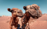 Obóz Zimowy Egipt - Kair & Sharm el Sheikh - Piramidy + nurkowanie wylot z Krakowa (all inclusive) 2026