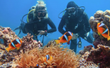 Obóz Zimowy Egipt - Kair & Sharm el Sheikh - Piramidy + nurkowanie wylot z Katowic (all inclusive) 2026
