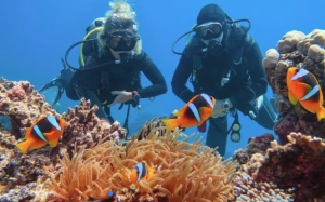 Obóz Zimowy Egipt - Kair & Sharm el Sheikh - Piramidy + nurkowanie wylot z Katowic (all inclusive) 2026